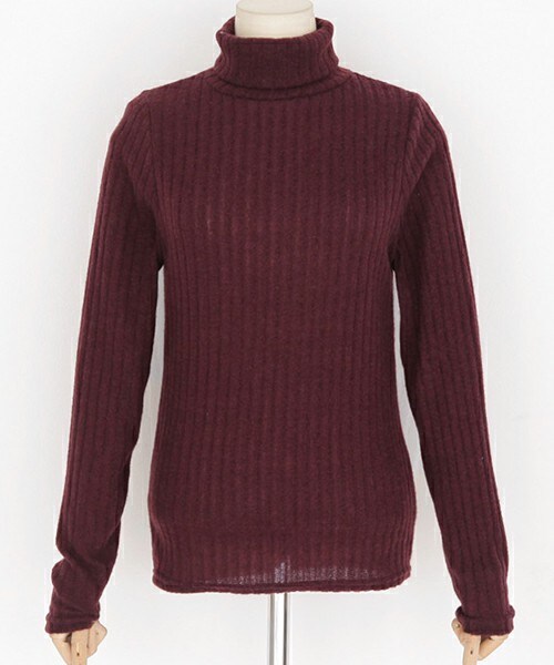 DHOLIC（ディーホリック）の「5COLORSタートルネックリブTシャツ（Tシャツ/カットソー・レディース・ディープスカイブルー/ダークパープル/グリーン/ブラック/アイボリー・FREE）」の5枚目の写真