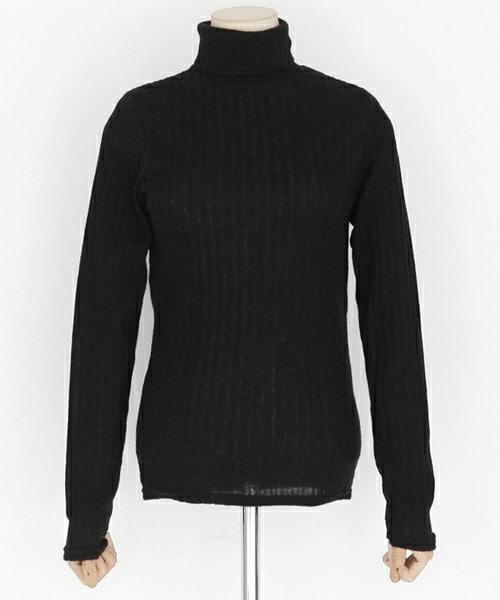 DHOLIC（ディーホリック）の「5COLORSタートルネックリブTシャツ（Tシャツ/カットソー・レディース・ディープスカイブルー/ダークパープル/グリーン/ブラック/アイボリー・FREE）」の3枚目の写真