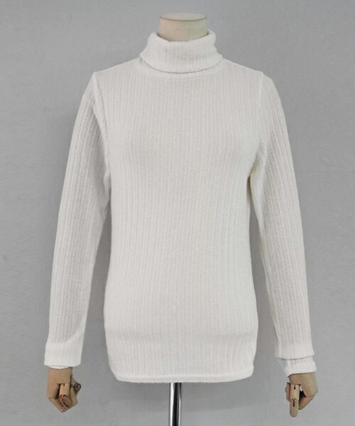 DHOLIC（ディーホリック）の「5COLORSタートルネックリブTシャツ（Tシャツ/カットソー・レディース・ディープスカイブルー/ダークパープル/グリーン/ブラック/アイボリー・FREE）」の2枚目の写真