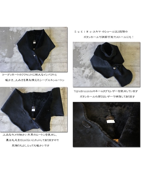 TIGRE BROCANTE（ティグルブロカンテ）の「Tigre Brocante ティ 