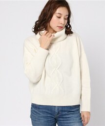 INTERPLANET | ラムウールケーブルタートルニット(ニット/セーター)