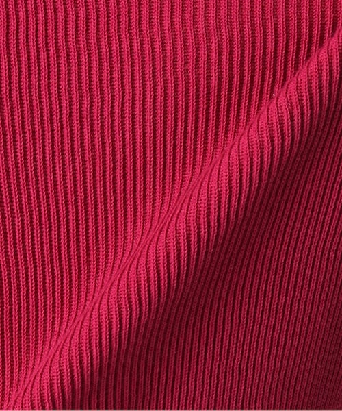 IENA - IENAイエナ cotton フリル カラー トップス ピンクA 新品 IENAイエナ cotton フリル カラー トップス ピンクA 新品