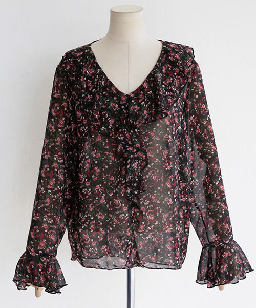 DHOLIC（ディーホリック）の「ラッフルネックフローラルシアーブラウス（シャツ/ブラウス・レディース・FREE）」の2枚目の写真