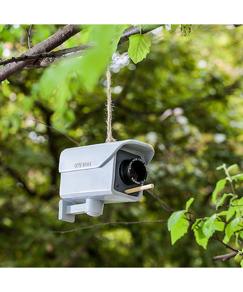 ノリーズ カメラバ ノリーズ カメラバ TROUT ZX | PRODUCTS | trout nories