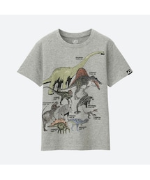 UNIQLO | BOYS ディスカバリーチャンネルグラフィックT（ダイナソー・半袖）(Tシャツ/カットソー)