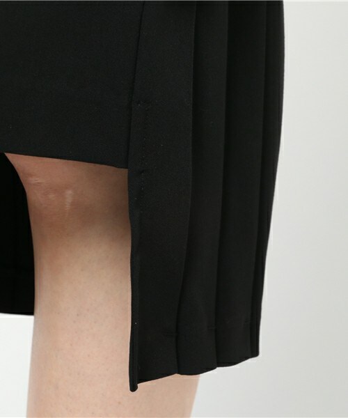 CLANE（クラネ）の「ダブルフェイスプリーツスカート（）」 - WEAR