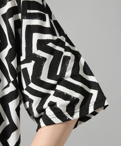 HARE(ハレ)の「キカガクガラカットソー(トップス・オフホワイト/ベージュ/ブルー)」の14枚目の写真