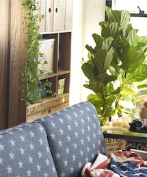 journal standard Furniture （ジャーナルスタンダードファニチャー 