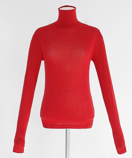 DHOLIC(ディーホリック)の「5COLORSスリムフィットハイネックTシャツ(Tシャツ/カットソー・レディース・ブルー/グレー/ブラック/ホワイト/レッド・FREE)」の5枚目の写真