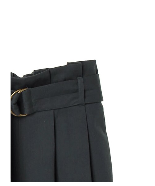 earth music&ecology（アースミュージックアンドエコロジー）の「・ベルト付きストライプワイドパンツ（パンツ・ブラック/キャメル/ダークグリーン・F）」の6枚目の写真