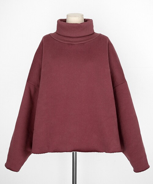 DHOLIC(ディーホリック)の「裏起毛タートルネックスウェット(スウェット・レディース・ベージュ/ホワイト/レッド/ブラック/ブルー・FREE)」の5枚目の写真