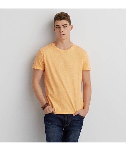 American Eagle(アメリカンイーグル)の「AEOレジェンドクルーネックTシャツ(Tシャツ/カットソー・メンズ・ブラックチェリー/アクア/ダスティセイジ/ライトピンク/オレンジエード/ウォッシュラピス/ディープシーダイブ・XS/S/M/L/XL/XXL/XXXL)」の5枚目の写真