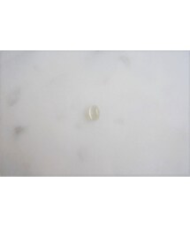 Handmade | natural stone ring #moon stone [size(縦0.6cm,横0.4cm)T](リング)