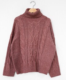 DHOLIC | ケーブルタートルネックニット(ニット/セーター)