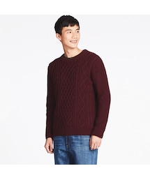 UNIQLO | ケーブルクルーネックセーター（長袖）(ニット/セーター)