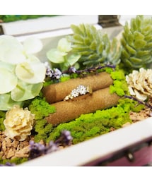 no brand | 境界の森 デイジーの花 リング 箱庭付き(リング)