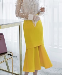 DINT | ジェイニーダブルロングスカート(スカート)