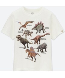 UNIQLO | BOYS ディスカバリーチャンネルグラフィックT（半袖）(Tシャツ/カットソー)