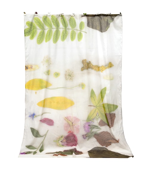 colomba leddi (コロンバレッディ) 　カーテン colomba leddi (コロンバレッディ) カーテン