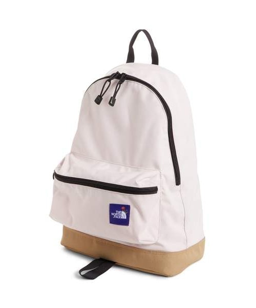 the north face mini backpack