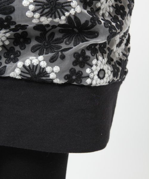 LEPSIM（レプシィム）の「シシュウレースキリカエワンピースロングスリーブ２（ワンピース/ドレス・レディース・ブラック/グレー・Ｌ/Ｍ）」の10枚目の写真