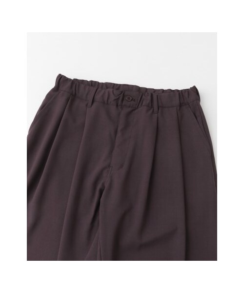 SENSE OF PLACE by URBAN RESEARCH（センスオブプレイスバイアーバンリサーチ）の「タックルーズテーパードスラックス（パンツ・メンズ・PURPLE/BLACK・M/L）」の12枚目の写真