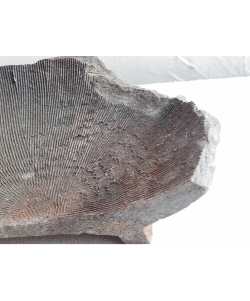 壺（鎌倉時代初期、発掘品） 黒い陶器の壺 約15cm （破片以外は