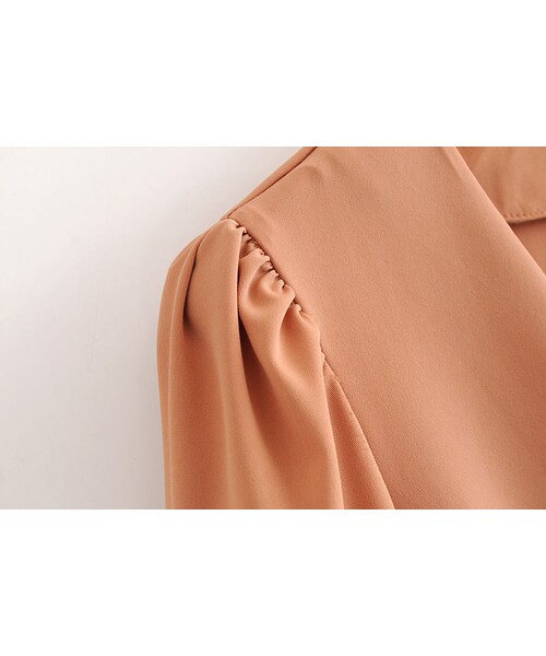 ZARA（ザラ）の「バルーンスリーブトップス パフスリーブ