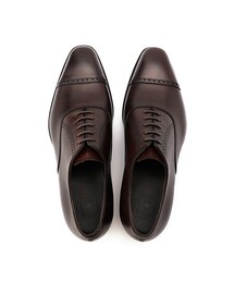 三陽山長（サンヨウヤマチョウ）の「【勇之介/YUNOSUKE】パンチド