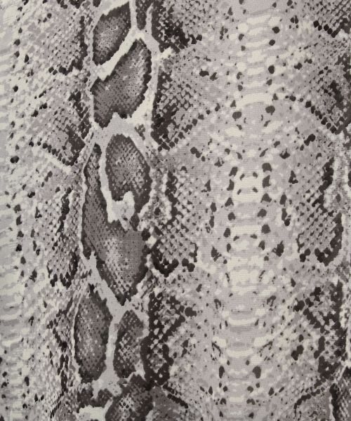 JEANASIS（ジーナシス）の「ムジガラマキシスカート（スカート・パイソン()/レオパード()）」の7枚目の写真