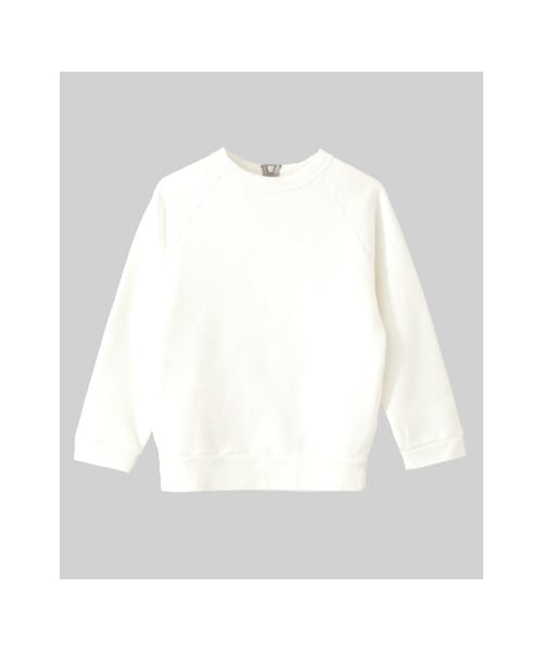 URBAN RESEARCH DOORS(アーバンリサーチドアーズ)の「裏シープ起毛プルオーバー(トップス・レディース・ネイビー/ライトグレー/ホワイト・one)」の1枚目の写真