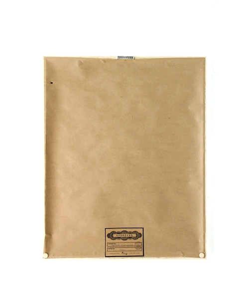 H.P.DECO（エイチ・ピー・デコ）の「CORAL&TUSK |フレームアート