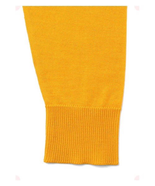 MAISON DE REEFUR（メゾンドリーファー）の「プレーンニットPO（トップス・レディース・Bordeaux/Yellow・38）」の7枚目の写真