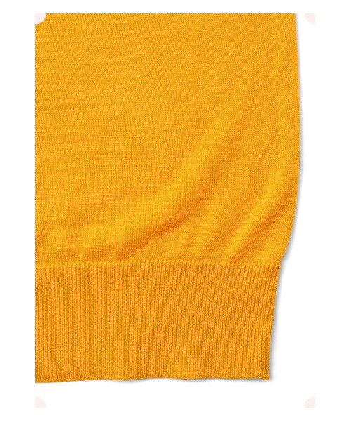 MAISON DE REEFUR（メゾンドリーファー）の「プレーンニットPO（トップス・レディース・Bordeaux/Yellow・38）」の8枚目の写真