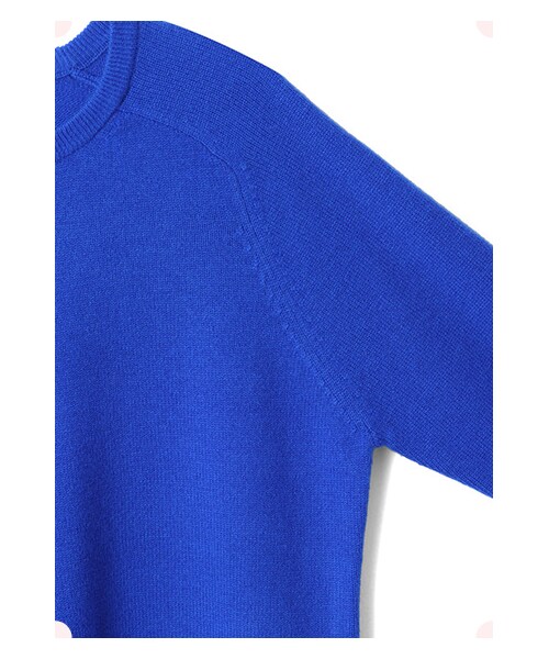 MAISON DE REEFUR(メゾンドリーファー)の「カシミヤラグランPO(トップス・レディース・Pink/Black/Blue/Yellow/Mid Gray・38)」の19枚目の写真