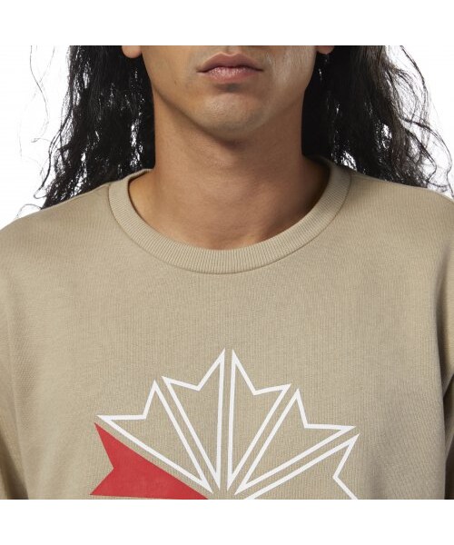 Reebok（リーボック）の「AC FT ビッグ スタークレスト クルー（トップス・クランベリーレッドF14/ミディアムグレイヘザー/ブラック/スーパーナチュラルS10）」の22枚目の写真