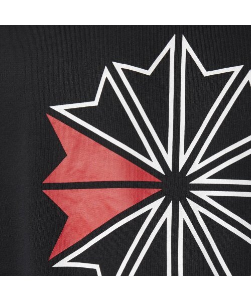 Reebok（リーボック）の「AC FT ビッグ スタークレスト クルー（トップス・クランベリーレッドF14/ミディアムグレイヘザー/ブラック/スーパーナチュラルS10）」の16枚目の写真