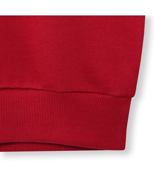 Reebok（リーボック）の「AC FT ビッグ スタークレスト クルー（トップス・クランベリーレッドF14/ミディアムグレイヘザー/ブラック/スーパーナチュラルS10）」の4枚目の写真