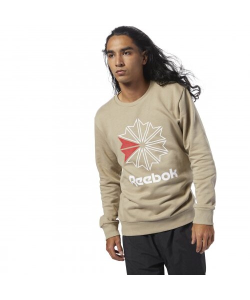 Reebok（リーボック）の「AC FT ビッグ スタークレスト クルー（トップス・クランベリーレッドF14/ミディアムグレイヘザー/ブラック/スーパーナチュラルS10）」の20枚目の写真