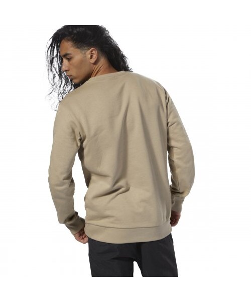 Reebok（リーボック）の「AC FT ビッグ スタークレスト クルー（トップス・クランベリーレッドF14/ミディアムグレイヘザー/ブラック/スーパーナチュラルS10）」の21枚目の写真