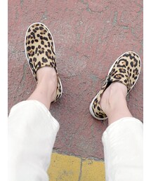 SAPPUN | Scarin(スニーカー)