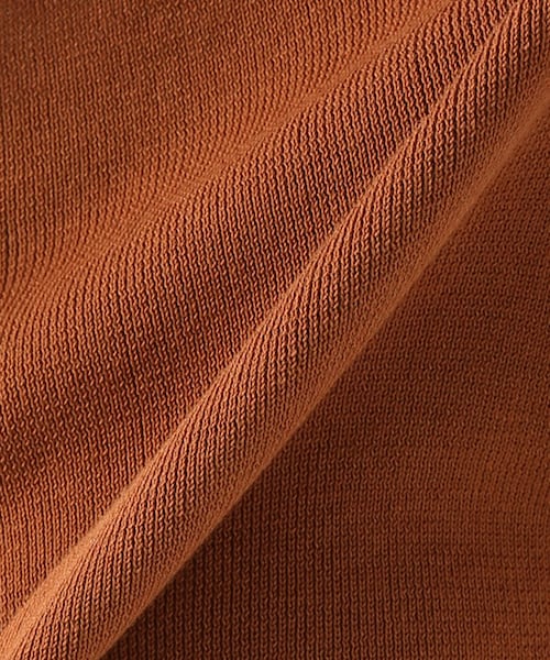 JOURNAL STANDARD relume（ジャーナルスタンダード　レリューム）の「コンパクトコットン ポロニット（トップス・ホワイト/フリー）」の14枚目の写真