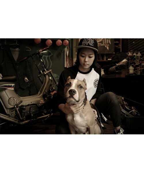 DEMONSTRATE（デモンストレート）の「DEMONSTRATE TIGER RAGLAN（トップス・メンズ・その他・M/L）」の3枚目の写真