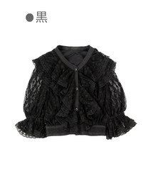 Bobon21 | 袖透けクラシカルレーストップス-全２色-(シャツ/ブラウス)