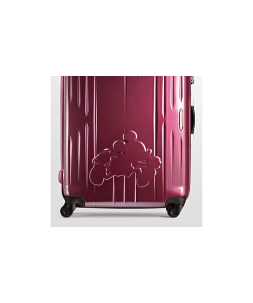 こ*ぅ様 【プロテカ】ACE PROTECA STARIA スタリア　走るミッキ こ*ぅ様 【プロテカ】ACE PROTECA STARIA スタリア 走るミッ