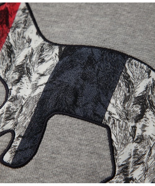 Maison Kitsune（メゾンキツネ）の「KITSUNEプリント　襟付きスウェットプルオーバー　FOX SWEATER（ニット・レディース・グレー/ホワイト系・S）」の9枚目の写真