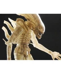 ネカ NECA エイリアン 56cm フィギュア 1/4 scale 本体未使用 Amazon.co.jp: NECA エイリアン 1/4 スケール ビッグチャップ