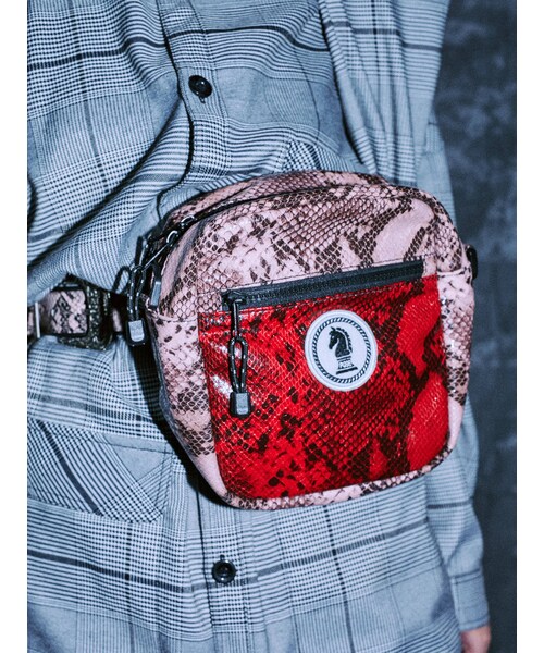 PAMEO POSE（パメオポーズ）の「2WAY Snakey Sacoche（ハンドバッグ・グリーン/ピンク/ベージュ・F）」の4枚目の写真