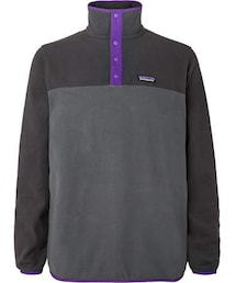 Patagonia Micro D Snap-T Fleece Sweatshirt