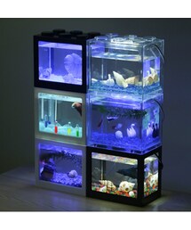 水槽 Ten Nobu Amazon | 水槽平口ガラス金魚タンクオーバルウルトラホワイト